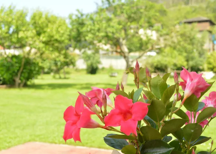 Apartamentos Rurales Casa Rosi